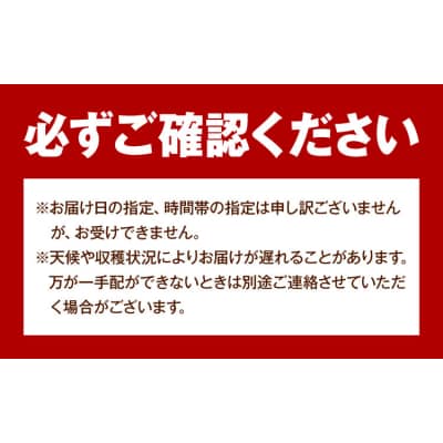 岡山県産 ご家庭用 シャインマスカット 2～3房 約1.2kg【配送不可地域:離島】