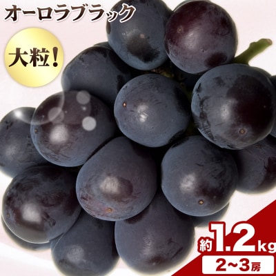 【2027年先行予約】岡山県産 ご家庭用 オーロラブラック 約1.2kg【配送不可地域:離島】