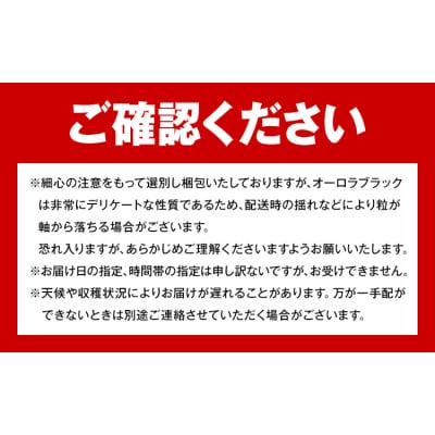 【2027年先行予約】岡山県産 ご家庭用 オーロラブラック 約1.2kg【配送不可地域:離島】