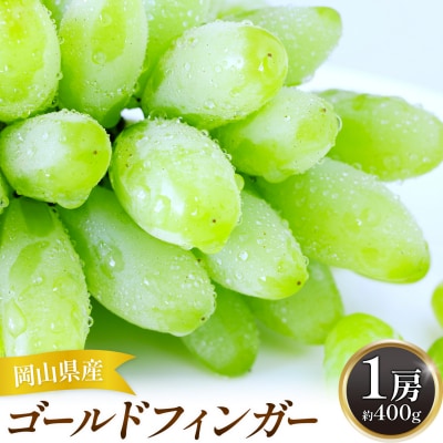 【2027年先行予約】岡山県産 ゴールドフィンガー 1房 約400g【配送不可地域:離島】