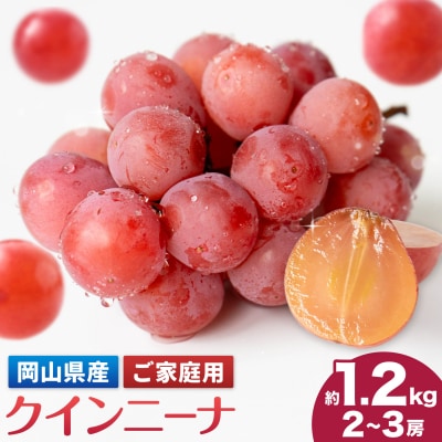 【2027年先行予約】ご家庭用 岡山県産 クインニーナ 約1.2kg《【配送不可地域:離島】