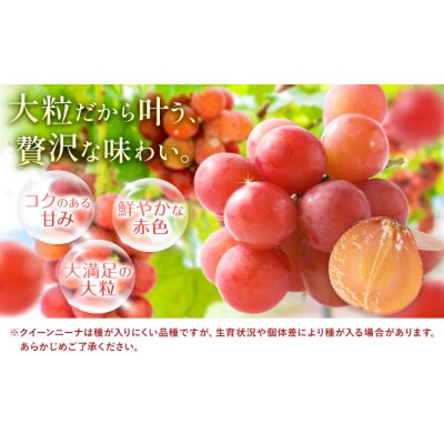 【2027年先行予約】ご家庭用 岡山県産 クインニーナ 約1.2kg《【配送不可地域:離島】