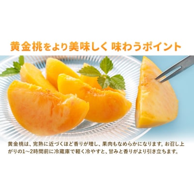 【2027年先行予約】ご家庭用 岡山県産 黄金桃 約1.5kg 5～6玉【配送不可地域:離島】