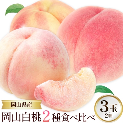 【2027年先行予約】岡山白桃2種食べ比べ 約750g(3玉)×2種【配送不可地域:離島】