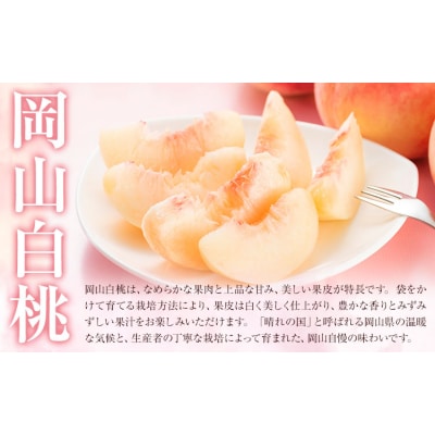 【2027年先行予約】岡山白桃2種食べ比べ 約750g(3玉)×2種【配送不可地域:離島】