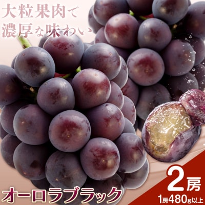 オーロラブラック 2房(1房480g以上) 化粧箱入り 株式会社山博【配送不可地域あり】