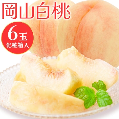 【2027年先行予約】白桃 6玉(1.6kg以上) 株式会社山博 (中本青果)【配送不可地域あり】