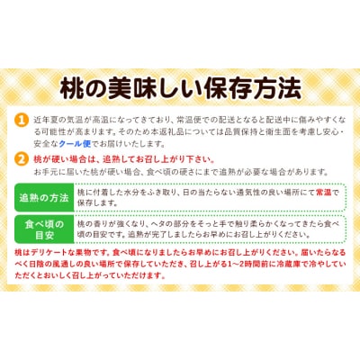 【2027年先行予約】白桃 6玉(1.6kg以上) 株式会社山博 (中本青果)【配送不可地域あり】