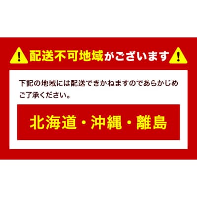 【2027年先行予約】白桃 6玉(1.6kg以上) 株式会社山博 (中本青果)【配送不可地域あり】