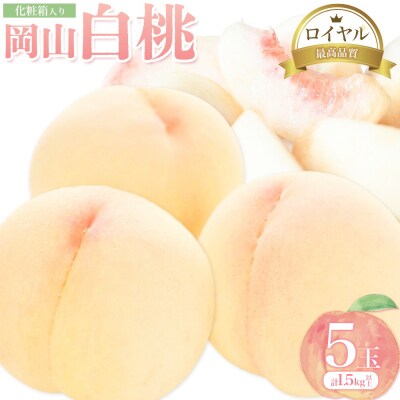 岡山白桃 5玉 (1.5kg以上) 等級ロイヤル 化粧箱入り 株式会社山博【配送不可地域あり】