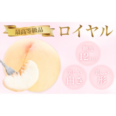 岡山白桃 5玉 (1.5kg以上) 等級ロイヤル 化粧箱入り 株式会社山博【配送不可地域あり】