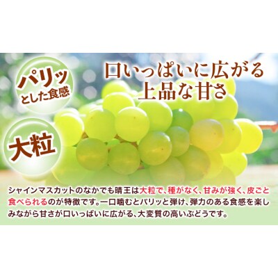  詰合 岡山白桃 2玉 シャインマスカット 晴王 2房 化粧箱入り 株式会社山博【配送不可地域あり】