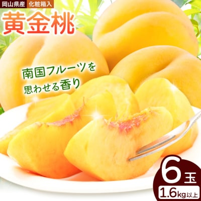 桃 岡山県産 黄金桃 6玉 1.6kg以上《8月下旬-9月中旬頃出荷》【配送不可地域あり】