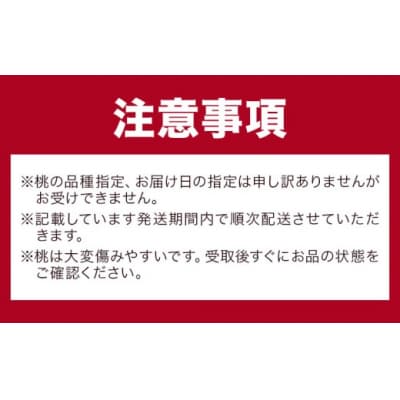 桃 岡山県産 黄金桃 6玉 1.6kg以上《8月下旬-9月中旬頃出荷》【配送不可地域あり】