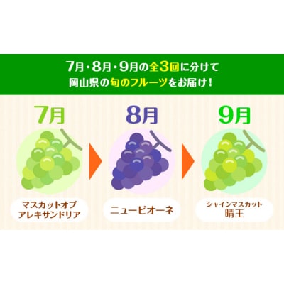 【3回定期便】ぶどう 定期便 計3回コース 化粧箱入り 株式会社山博【配送不可地域あり】