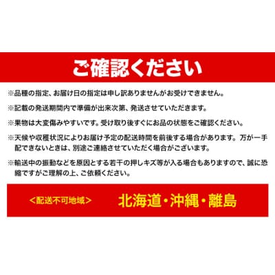 【3回定期便】ぶどう 定期便 計3回コース 化粧箱入り 株式会社山博【配送不可地域あり】