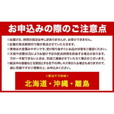 マスカット オブ アレキサンドリア 1房 秀品以上 化粧箱入 株式会社山博【配送不可地域あり】
