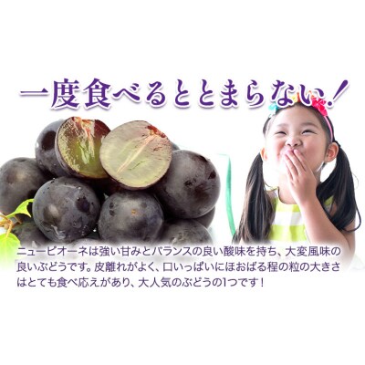 岡山白桃2玉 ニューピオーネ 1房 シャインマスカット晴王 1房  株式会社山博【配送不可地域あり】