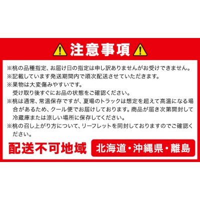 岡山白桃2玉 ニューピオーネ 1房 シャインマスカット晴王 1房  株式会社山博【配送不可地域あり】