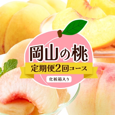 【2027年発送先行予約】【2回定期便】岡山の桃定期便 岡山白桃 黄金桃【配送不可地域あり】