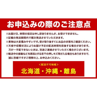 【2027年先行予約】ニューピオーネ 約1kg 2房 1房480g以上 化粧箱入【配送不可地域あり】