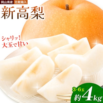 【2027年先行】岡山県産 新高梨 約4kg 3~6玉 株式会社山博《9月下旬-11月上旬頃出荷》