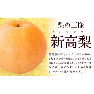 【2027年先行】岡山県産 新高梨 約4kg 3~6玉 株式会社山博《9月下旬-11月上旬頃出荷》