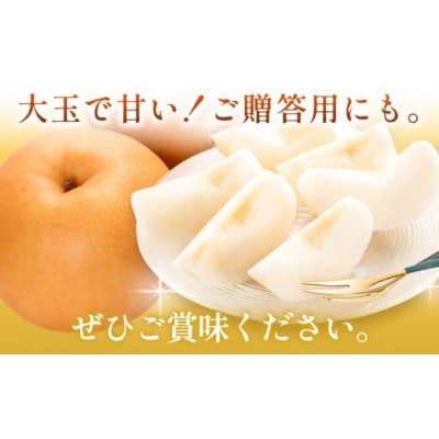 【2027年先行】岡山県産 新高梨 約4kg 3~6玉 株式会社山博《9月下旬-11月上旬頃出荷》