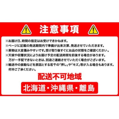 【2027年先行】岡山県産 新高梨 約4kg 3~6玉 株式会社山博《9月下旬-11月上旬頃出荷》