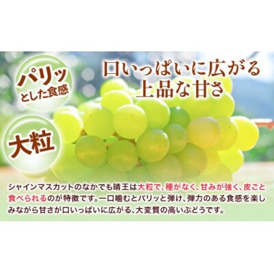 【2027年】詰合ニューピオーネ1房 シャインマスカット晴王1房 化粧箱入り【配送不可地域あり】