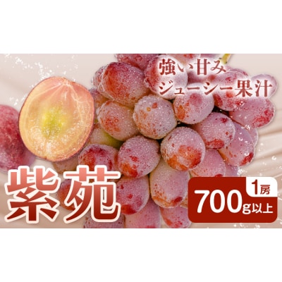 【2027年先行予約】ぶどう 紫苑 700g以上 1房 化粧箱入り 株式会社山博【配送不可地域あり】