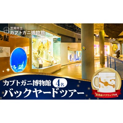 バックヤードツアー 記念品 マグカップ 付き 4名 カブトガニ博物館
