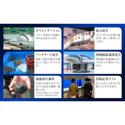 カブトガニ博物館貸し切り!カブトガニづくしツアー 5名様まで カブトガニ博物館