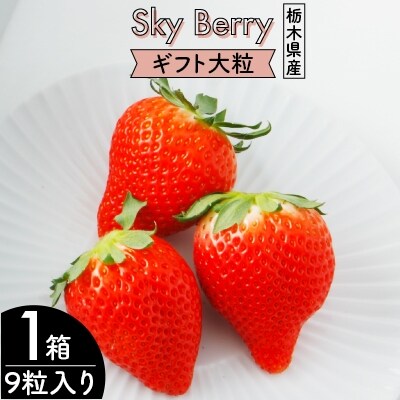 Sky Berryギフト大粒 9粒入り×1箱