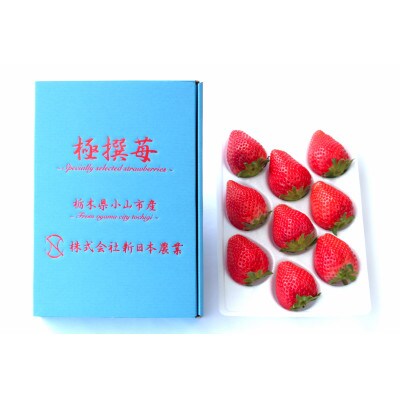 Sky Berryギフト大粒 9粒入り×1箱