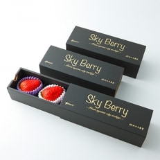 Sky Berry 3piece 3粒入り&times;3箱