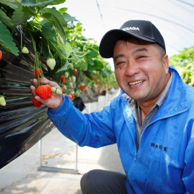 とちあいか　ギフト大粒　9粒入り×1箱