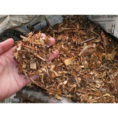 1点限定!さくら色の八寸帯・手織り　思川桜で染めました