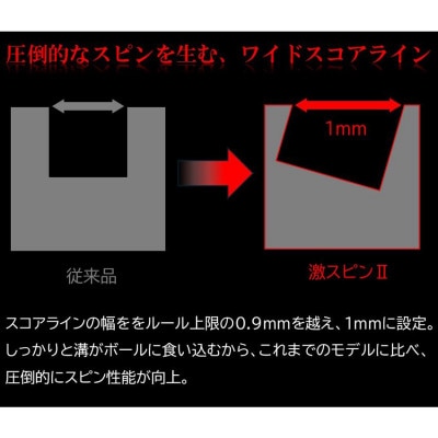 ゴルフクラブ　アイアン　GEKI SPIN2　激スピンウェッジ　#58°　フレックスR　【特別仕様】