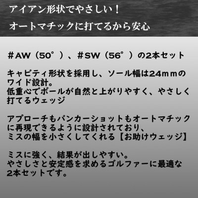 ゴルフクラブ ウェッジ BLASTER #AW #SW 2本セット フレックスR 特別仕様