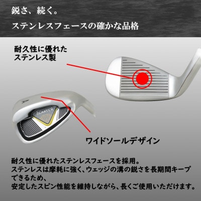 ゴルフクラブ ウェッジ BLASTER #AW #SW 2本セット フレックスR 特別仕様