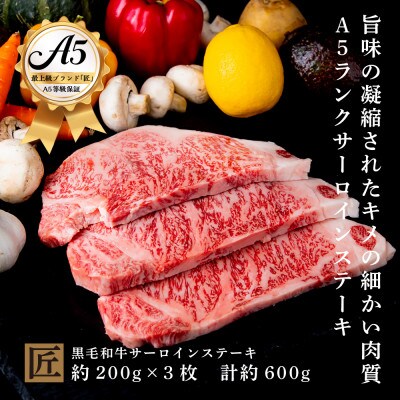 おやま和牛 A5 極 サーロイン 約200g×3枚