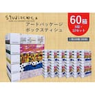 アートパッケージボックスティッシュ60箱【5箱入り×12セット】【1箱150組(300枚)】