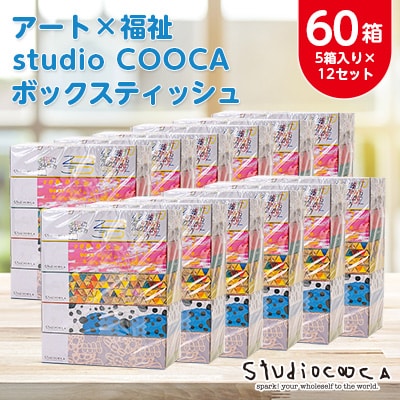 アートパッケージボックスティッシュ60箱【5箱入り×12セット】【1箱150組(300枚)】