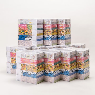 アートパッケージボックスティッシュ60箱【5箱入り×12セット】【1箱150組(300枚)】