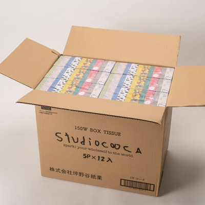 アートパッケージボックスティッシュ60箱【5箱入り×12セット】【1箱150組(300枚)】