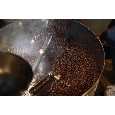 CafeFUJINUMA自家焙煎(豆)焙煎士おまかせ5種飲み比べセット　100g×5種
