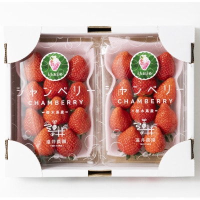 産地直送!!栃木県遠井農園の美味しいとちおとめ【270g×2パック(1箱)】