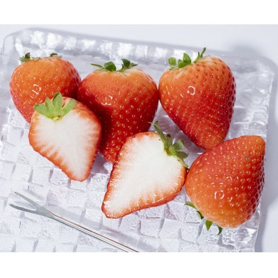 産地直送!!栃木県遠井農園の美味しいとちおとめ【270g×2パック(1箱)】