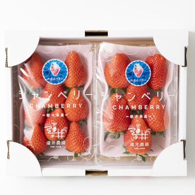 産地直送!!栃木県遠井農園の美味しいスカイベリー【290g×2パック(1箱)】